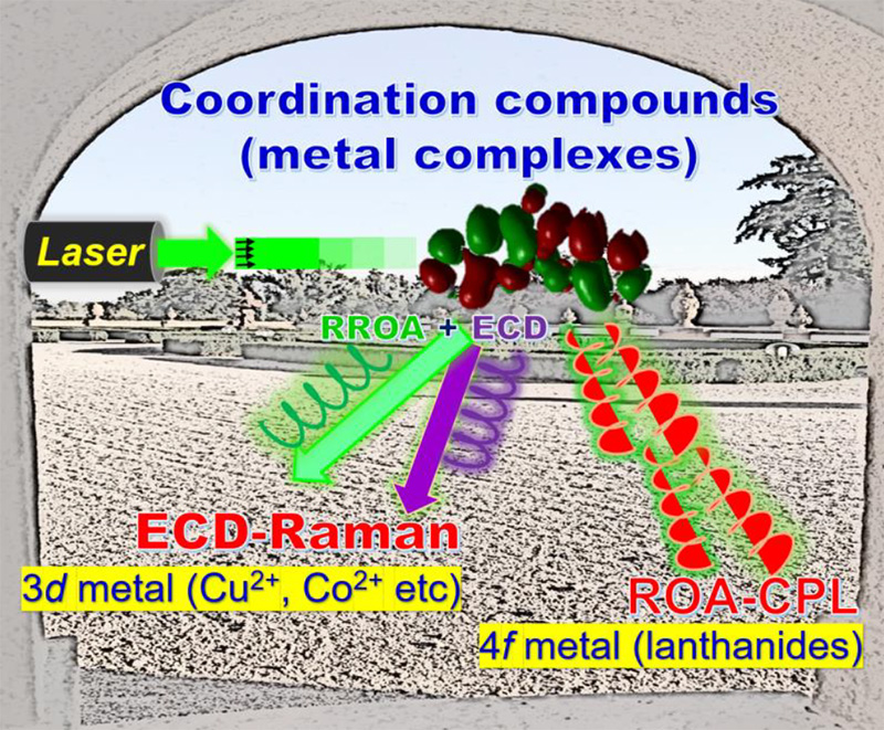 Molecular Properties of 3<i>d</i> and 4<i>f</i> Coordination Compounds Deciphered by Raman Optical Activity Spectroscopy