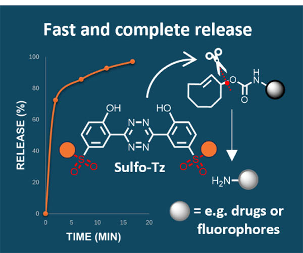 Sulfonated Hydroxyaryl-Tetrazines with Increased p<i>K</i><sub>a</sub> for Accelerated Bioorthogonal Click-to-Release Reactions in Cells