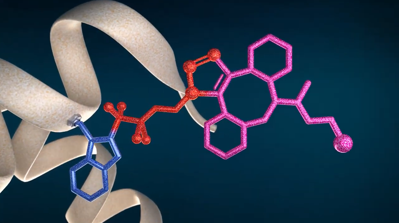 New Technology CF LINK For Protein Bioconjugation And Structural Proteomics