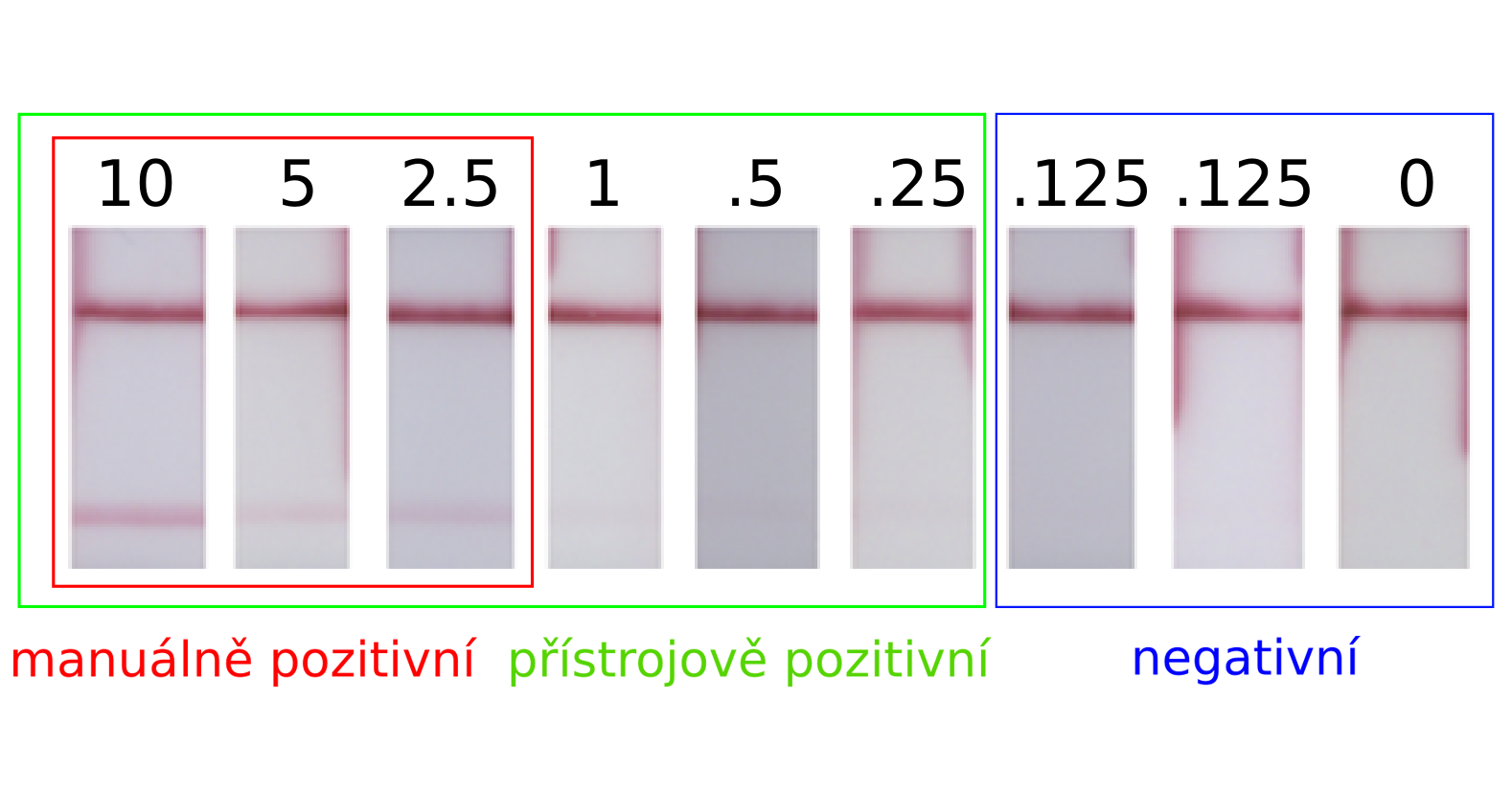 Jak vyhodnotit antigenní test?