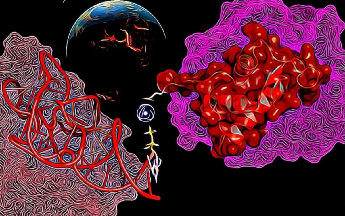 A new perspective on how early protein-RNA interactions evolved