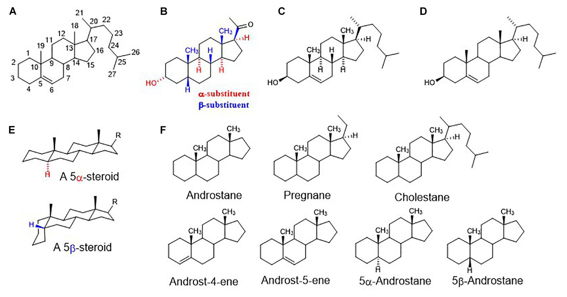 Neurosteroids as selective inhibitors of glycine receptor activity